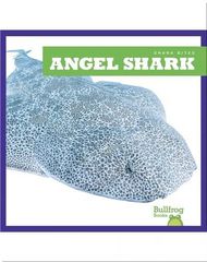 Shark Bites 39 Shark Bites: Angel Shark -- 绘本听读宝在线台词全文
