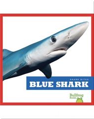 Shark Bites 40 Shark Bites: Blue Shark -- 绘本听读宝在线台词全文