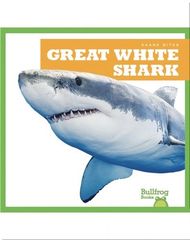 Shark Bites 41 Shark Bites: Great White Shark -- 绘本听读宝在线台词全文