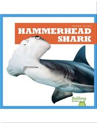 Shark Bites 42 Shark Bites: Hammerhead Shark -- 绘本听读宝在线台词全文