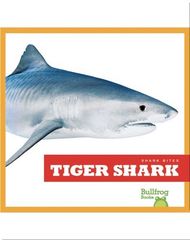Shark Bites 44 Shark Bites: Tiger Shark -- 绘本听读宝在线台词全文