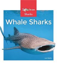 Sharks 5 Whale Sharks -- 绘本听读宝在线台词全文