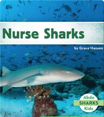 Sharks 35 Nurse Sharks -- 绘本听读宝在线台词全文