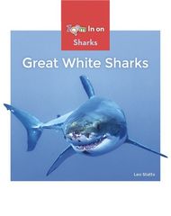 Sharks 39 Great White Sharks -- 绘本听读宝在线台词全文