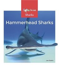 Sharks 40 Hammerhead Sharks -- 绘本听读宝在线台词全文