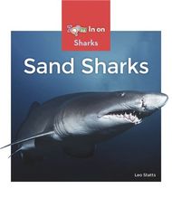 Sharks 42 Sand Sharks -- 绘本听读宝在线台词全文