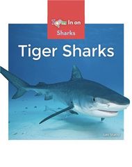 Sharks 43 Tiger Sharks -- 绘本听读宝在线台词全文