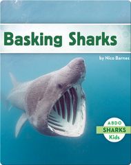 Sharks Basking Sharks -- 绘本听读宝在线台词全文