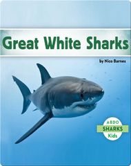 Sharks Great White Sharks -- 绘本听读宝在线台词全文