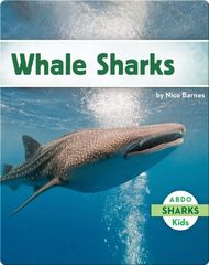 Sharks Whale Sharks -- 绘本听读宝在线台词全文