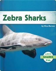 Sharks Zebra Sharks -- 绘本听读宝在线台词全文