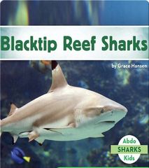 Sharks 32 Blacktip Reef Sharks -- 绘本听读宝在线台词全文