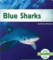 Sharks 33 Blue Sharks -- 绘本听读宝在线台词全文