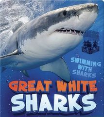 Swimming with Sharks 42 Great White Sharks -- 绘本听读宝在线台词全文