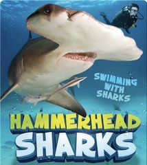 Swimming with Sharks 43 Hammerhead Sharks -- 绘本听读宝在线台词全文
