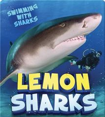 Swimming with Sharks 47 Lemon Sharks -- 绘本听读宝在线台词全文