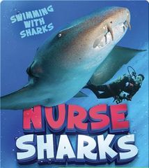 Swimming with Sharks 49 Nurse Sharks -- 绘本听读宝在线台词全文