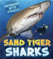 Swimming with Sharks 52 Sand Tiger Sharks -- 绘本听读宝在线台词全文