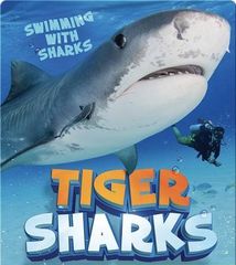 Swimming with Sharks 54 Tiger Sharks -- 绘本听读宝在线台词全文