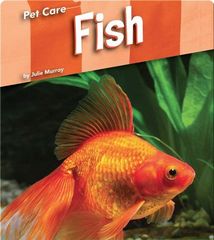 Pet Care 58 Pet Care: Fish -- 绘本听读宝在线台词全文