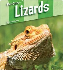 Pet Care 61 Pet Care: Lizards -- 绘本听读宝在线台词全文