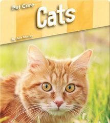 Pet Care 62 Pet Care: Cats -- 绘本听读宝在线台词全文
