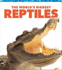 The World's Biggest Animals 44 The World's Biggest Reptiles -- 绘本听读宝在线台词全文