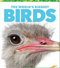 The World's Biggest Animals 45 The World's Biggest Birds -- 绘本听读宝在线台词全文