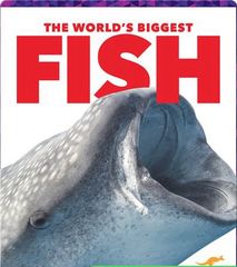 The World's Biggest Animals 46 The World's Biggest Fish -- 绘本听读宝在线台词全文
