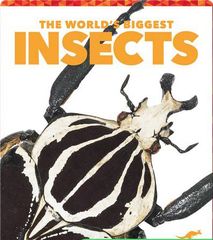 The World's Biggest Animals 47 The World's Biggest Insects -- 绘本听读宝在线台词全文