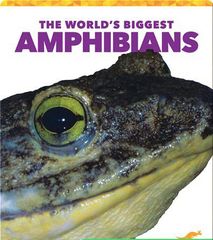 The World's Biggest Animals 48 The World's Biggest Amphibians -- 绘本听读宝在线台词全文