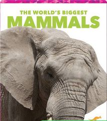 The World's Biggest Animals 83 The World's Biggest Mammals -- 绘本听读宝在线台词全文
