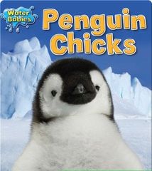 Water Babies 15 Penguin Chicks -- 绘本听读宝在线台词全文