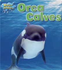 Water Babies 17 Orca Calves -- 绘本听读宝在线台词全文