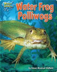 Water Babies Water Frog Polliwogs -- 绘本听读宝在线台词全文
