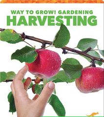 Way to Grow! Gardening 8 Way to Grow! Gardening: Harvesting -- 绘本听读宝在线台词全文