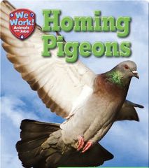 We Work! Animals with Jobs 77 Homing Pigeons -- 绘本听读宝在线台词全文
