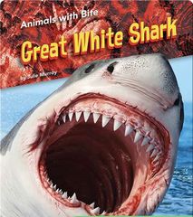 Animals with Bite 56 Animals with Bite: Great White Shark -- 绘本听读宝在线台词全文