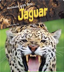 Animals with Bite 60 Animals with Bite: Jaguar -- 绘本听读宝在线台词全文