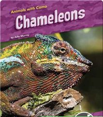 Animals with Camo 37 Animals with Camo: Chameleons -- 绘本听读宝在线台词全文