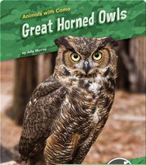Animals with Camo 38 Animals with Camo: Great Horned Owls -- 绘本听读宝在线台词全文