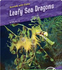 Animals with Camo 40 Animals With Camo: Leafy Sea Dragons -- 绘本听读宝在线台词全文