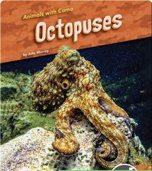 Animals with Camo 41 Animals With Camo: Octopuses -- 绘本听读宝在线台词全文