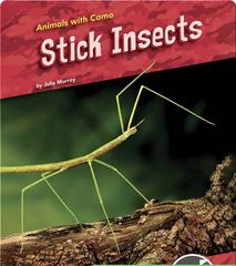 Animals with Camo 42 Animals With Camo: Stick Insects -- 绘本听读宝在线台词全文