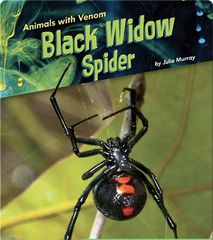 Animals with Venom 55 Animals with Venom: Black Widow Spider -- 绘本听读宝在线台词全文