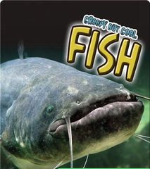 Creepy But Cool 48 Creepy But Cool Fish -- 绘本听读宝在线台词全文