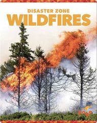Disaster Zone Disaster Zone: Wildfires -- 绘本听读宝在线台词全文