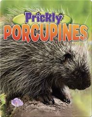 Gross-out Defenses Prickly Porcupines -- 绘本听读宝在线台词全文