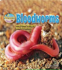 Animal Life on the Shore 2 Bloodworms and Other Wriggly Beach Dwellers -- 绘本听读宝在线台词全文
