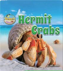 Animal Life on the Shore 3 Hermit Crabs -- 绘本听读宝在线台词全文
